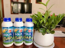 Bao bì AQUA GAP TRONG NUÔI TRỒNG THỦY SẢN